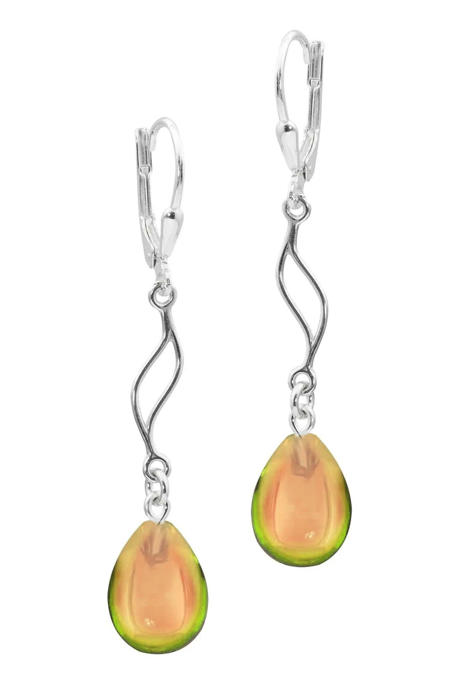 Feather Ext. Earrings